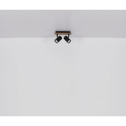 Globo - Strahler 2xGU10/35W/230V