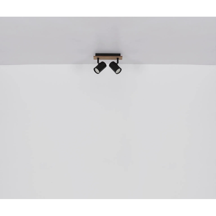 Globo - Strahler 2xGU10/35W/230V