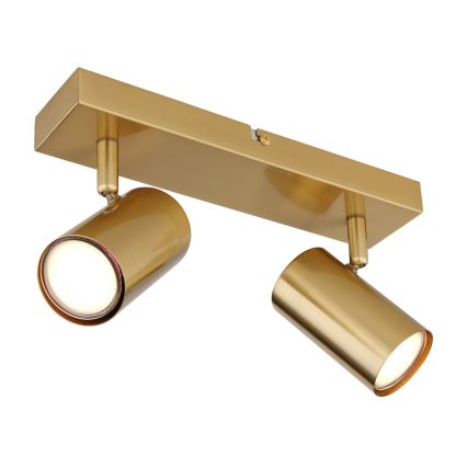 Globo - Strahler 2xGU10/35W/230V golden