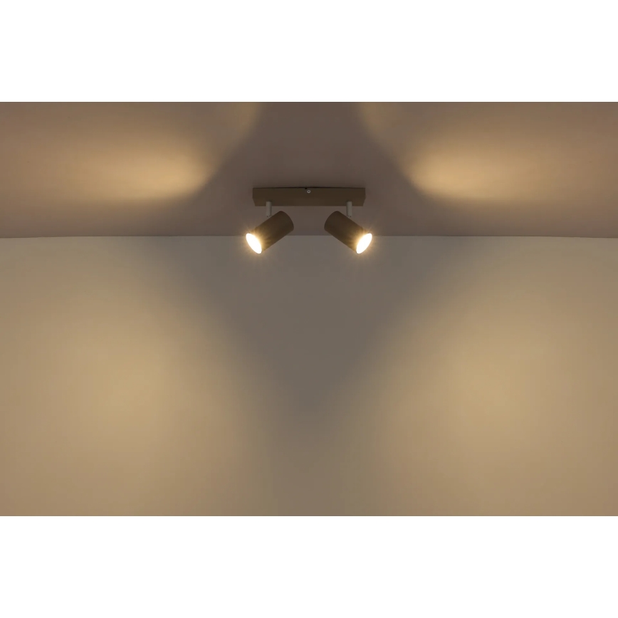 Globo - Spotleuchte 2x GU10/35W/230V