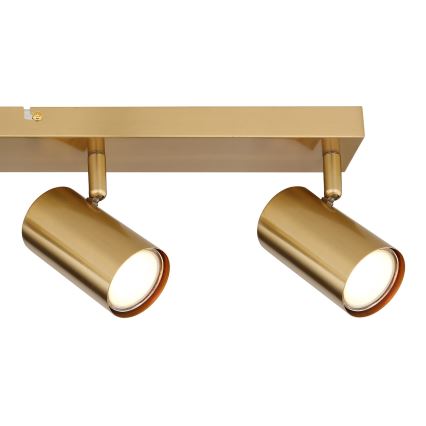 Globo - Strahler 4xGU10/35W/230V golden