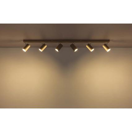 Globo - Deckenspot 6xGU10/35W/230V
