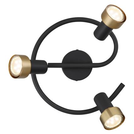 Globo - Strahler  3xGU10/25W/230V schwarz/golden