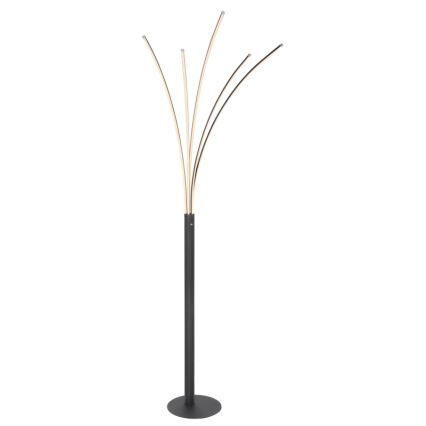 Globo - LED dimmbare Touch-Stehleuchte LED/36W/230V schwarz