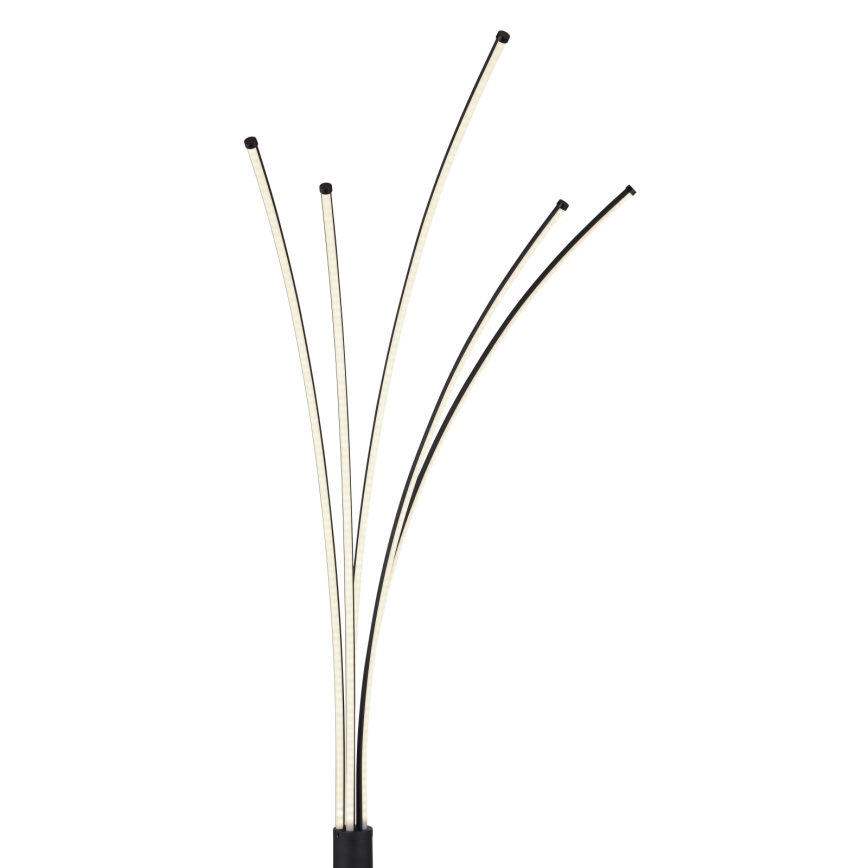 Globo - Dimmbare LED-Stehleuchte LED/36W/230V 3000-6000K Wi-Fi Tuya + Fernbedienung