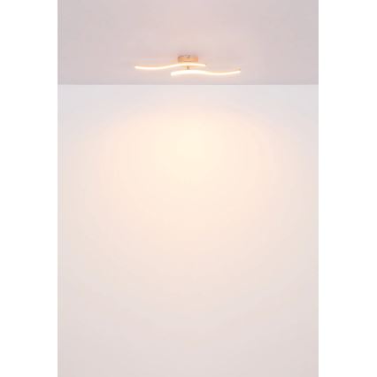 Globo - LED-Anbauleuchte LED/12W/230V 3000K orange
