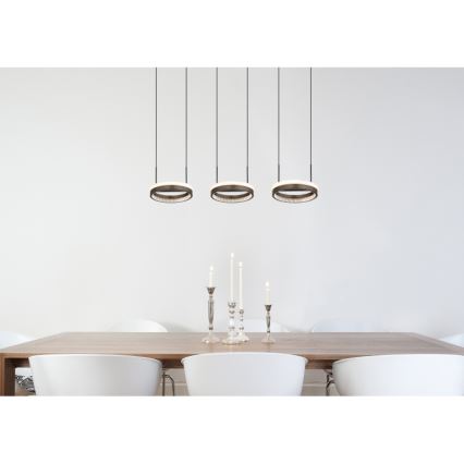 Globo - LED-Pendelleuchte an Kabel LED/40W/230V 3000/4000/6000K