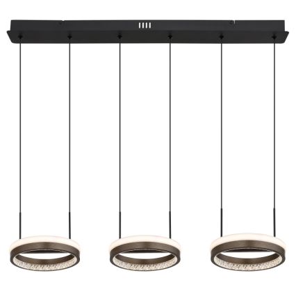 Globo - LED-Pendelleuchte an Kabel LED/40W/230V 3000/4000/6000K