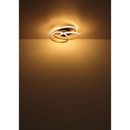 Globo - LED-Anbauleuchte LED/40W/230V 3000K matt Chrom/schwarz