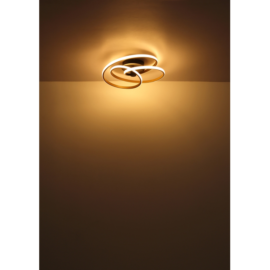 Globo - LED-Anbauleuchte LED/40W/230V 3000K matt Chrom/schwarz