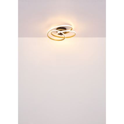 Globo - LED-Anbauleuchte LED/40W/230V 3000K matt Chrom/schwarz
