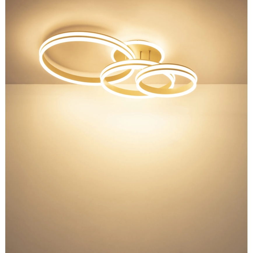 Globo - LED-dimmbare Deckenleuchte LED/72W/230V 3000K 79,5x50 cm