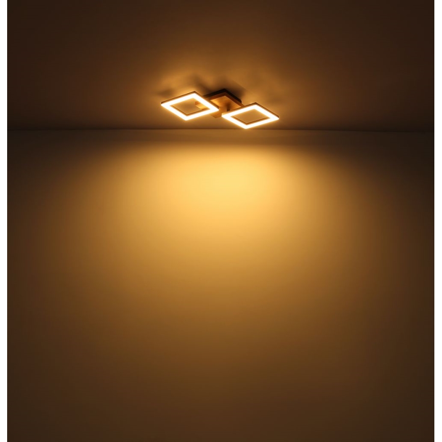 Globo - LED-Deckenleuchte LED/30W/230V
