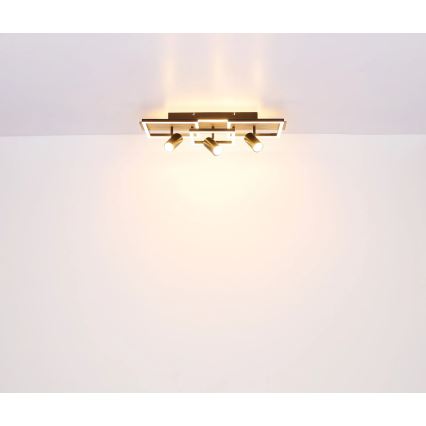 Globo - LED Deckenleuchte LED/48W/230V + 3xGU10/5W 3000K 27x72 cm