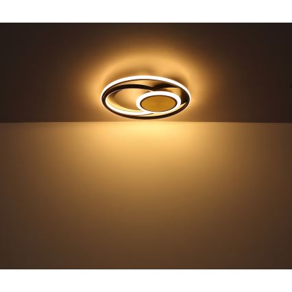 Globo - LED-Deckenleuchte LED/24W/230V
