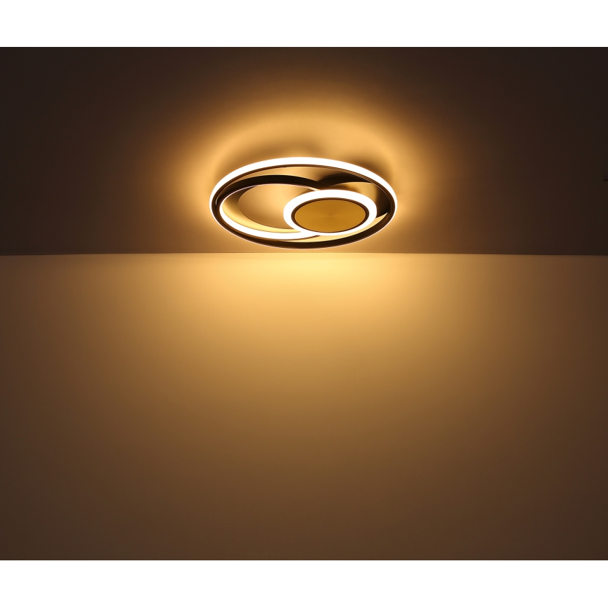 Globo - LED-Deckenleuchte LED/24W/230V