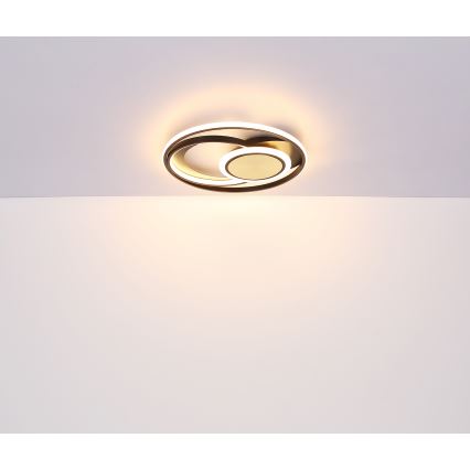 Globo - LED-Deckenleuchte LED/24W/230V