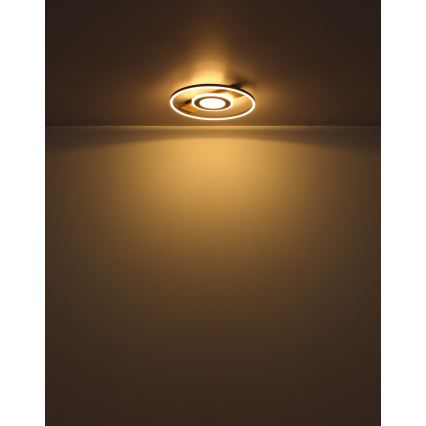 Globo - LED-Deckenleuchte LED/24W/230V