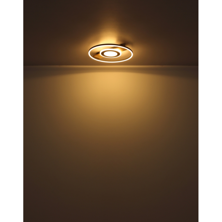 Globo - LED-Deckenleuchte LED/24W/230V