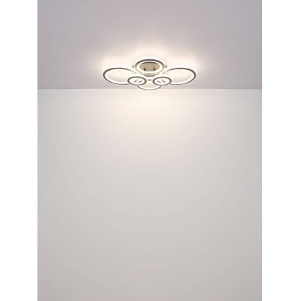 Globo - Dimmbare LED-Deckenleuchte LED/60W/230V 2700-6000K 56x78 cm anthrazit + Fernbedienung