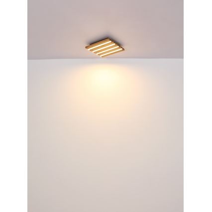 Globo - LED-Deckenleuchte LED/30W/230V 3000K 45x45 cm