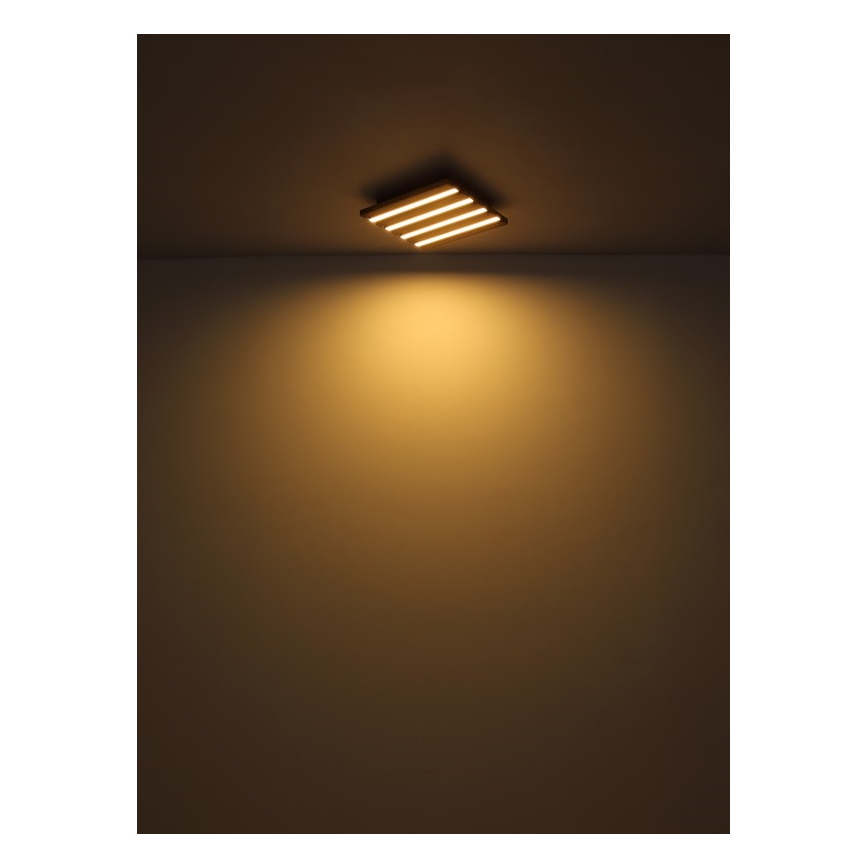 Globo - LED-Deckenleuchte LED/30W/230V 3000K 45x45 cm Holz