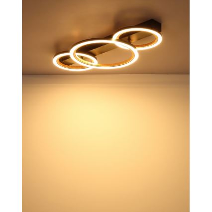 Globo - LED Deckenleuchte LED/40W/230V 3000K 58x30 cm