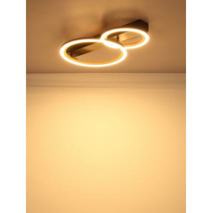 Globo - LED-Deckenleuchte LED/30W/230V 3000K 44x30 cm