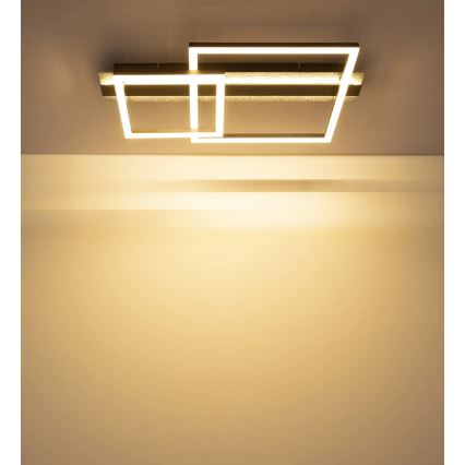 Globo - LED-Deckenleuchte LED/30W/230V 3000K 33x56 cm