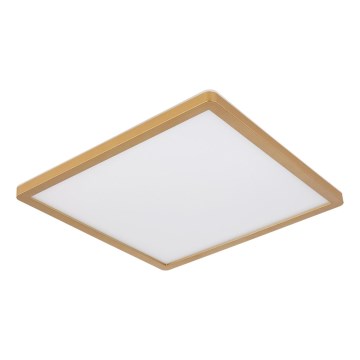 Globo - Dimmbare LED-Deckenleuchte für Badezimmer LED/18W/230V 3000K IP44 29,4x29,4 cm Messing