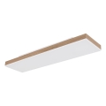 Globo - Dimmbare LED-Deckenleuchte LED/24W/230V 2700-6500K 20x80 cm + Fernbedienung
