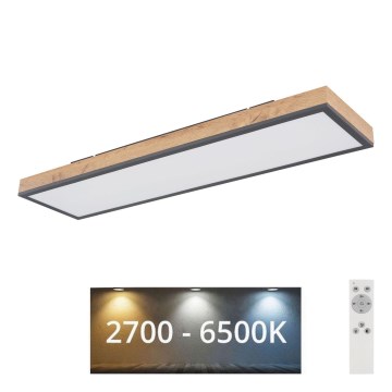 Globo - Dimmbare LED-Deckenleuchte LED/24W/230V 2700-6500K + Fernbedienung