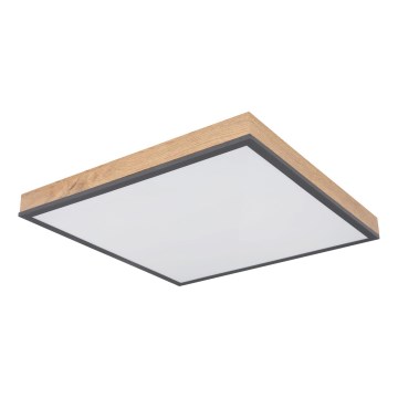 Globo - dimmbare LED-Deckenleuchte LED/24W/230V 3000-6500K 45x45 cm