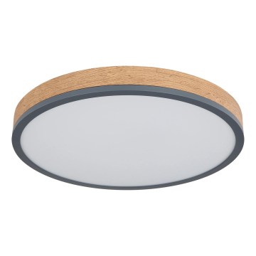 Globo - Dimmbare LED-Deckenleuchte LED/24W/230V 3000-6500K Ø 45 cm