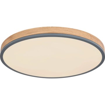 Globo - Dimmbare LED-Deckenleuchte LED/40W/230V 2700-6500K d 60 cm + Fernbedienung braun/grau