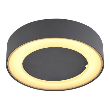 Globo - LED Auβen-Deckenleuchte LED/12W/230V IP54