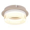Globo - LED-Deckenleuchte, 8W, 230V, 3000K, Ø 16 cm