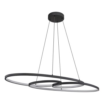 Globo - LED-Deckenleuchte an Kabel LED/39W/230V 2700/4000/6500K
