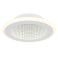 Globo - LED-Deckenleuchte LED/12W/230V 4000K