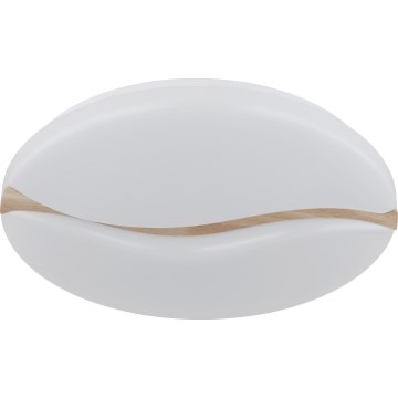 Globo - LED-Deckenleuchte LED/24W/230V 3000/4200/6000K d 33 cm