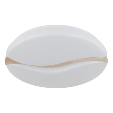 Globo - LED Deckenleuchte LED/24W/230V 3000/4200/6000K Ø 39 cm