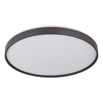 Globo - LED-Deckenleuchte LED/24W/230V d 48 cm anthrazit