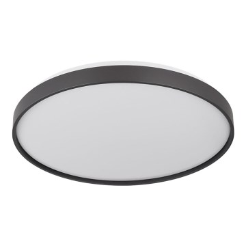 Globo - LED-Deckenleuchte LED/24W/230V