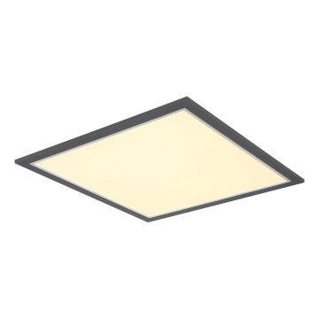 Globo - LED-Deckenleuchte LED/24W/230V