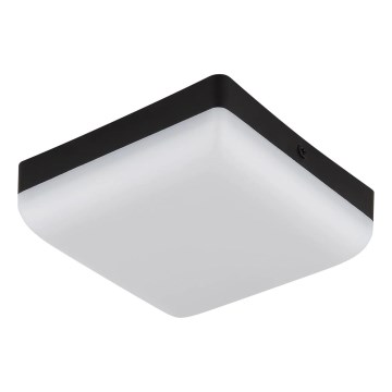 Globo - LED-Deckenleuchte LED/8W/230V 4000K 12x12 cm schwarz