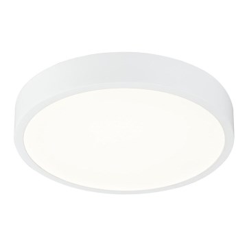 Globo - LED dimmbare Deckenleuchte LED/22W/230V