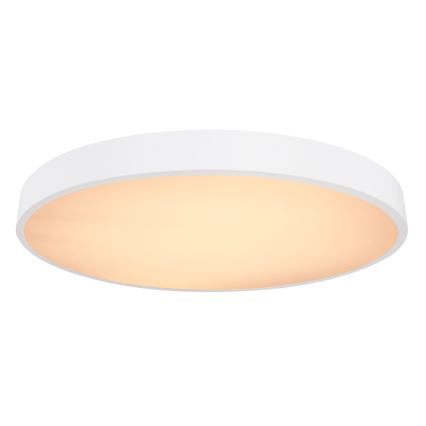 Globo - LED dimmbare Deckenleuchte LED/48W/230V 3000-6000K + Fernbedienung