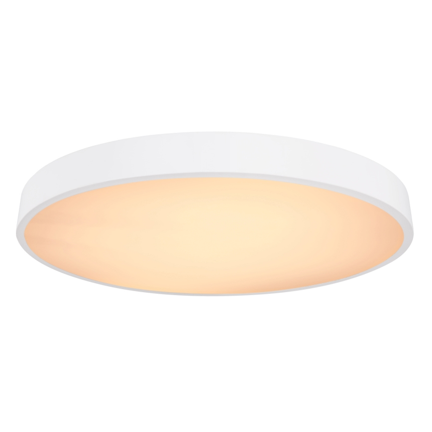 Globo - LED dimmbare Deckenleuchte LED/48W/230V 3000-6000K + Fernbedienung