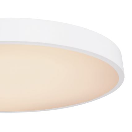 Globo - LED dimmbare Deckenleuchte LED/48W/230V 3000-6000K + Fernbedienung