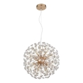 Globo - LED-Hängeleuchte an Kabel 8xG9/3,5W/230V Ø 40 cm goldfarben